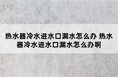 热水器冷水进水口漏水怎么办 热水器冷水进水口漏水怎么办啊